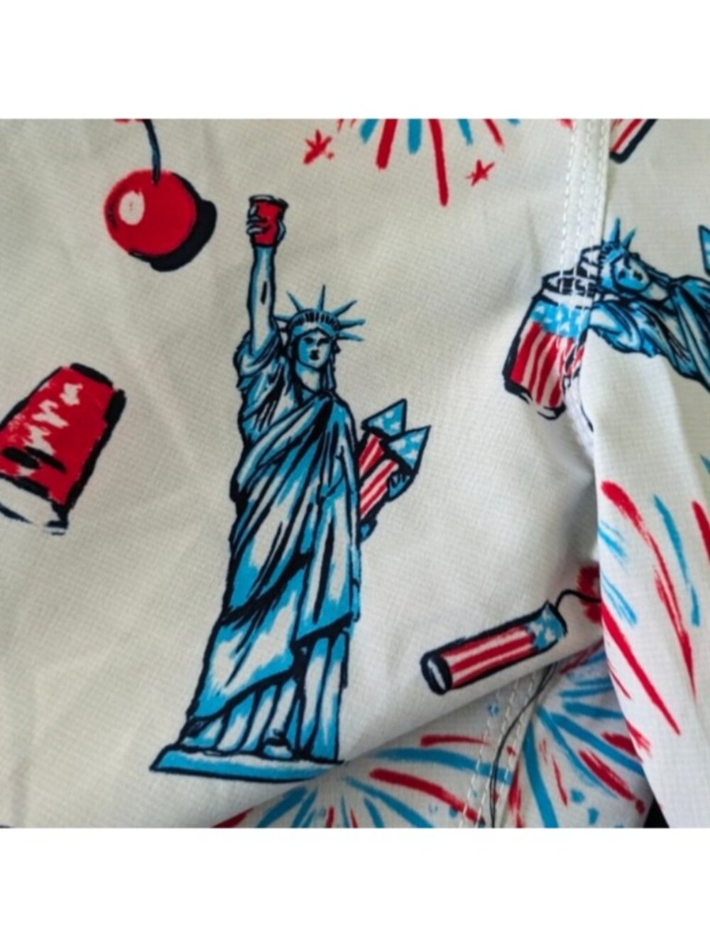 Vans Men 28 Waist NWT Era Boardshort  American Fourth of July 062026 - Picture 8 of 9